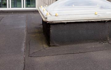 disadvantages of Gwernafon flat roofs