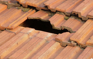 roof repair Gwernafon, Powys