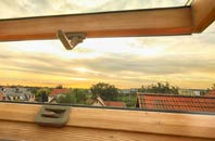 rated Gwernafon roof window companies